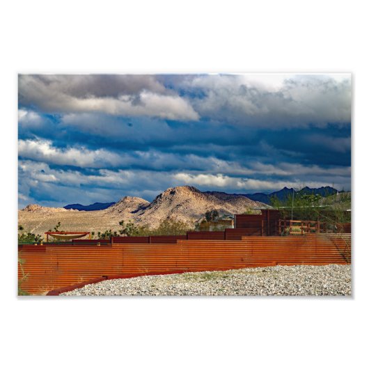 Joshua Tree Foto Afdruk (Voorkant)