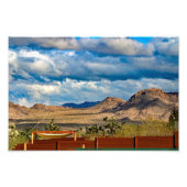 Joshua Tree Foto Afdruk (Voorkant)