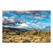 Joshua Tree Foto Afdruk (Voorkant)