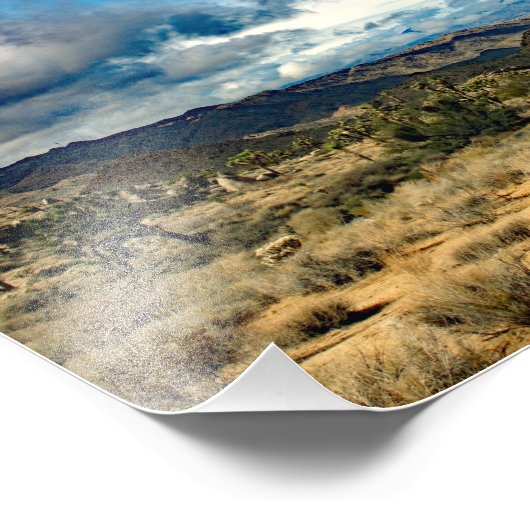 Joshua Tree Foto Afdruk (Hoek)