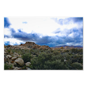 Joshua Tree Foto Afdruk