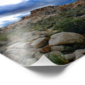 Joshua Tree  Foto Afdruk (Hoek)