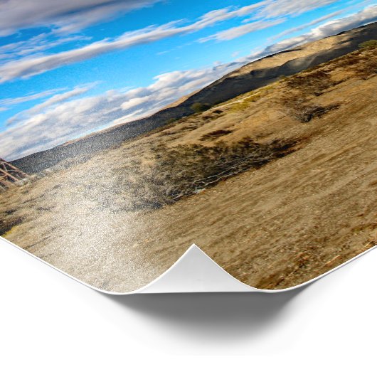 Joshua Tree Foto Afdruk (Hoek)