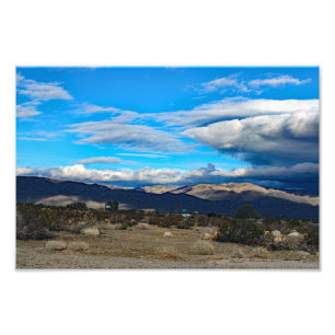 Joshua Tree Foto Afdruk