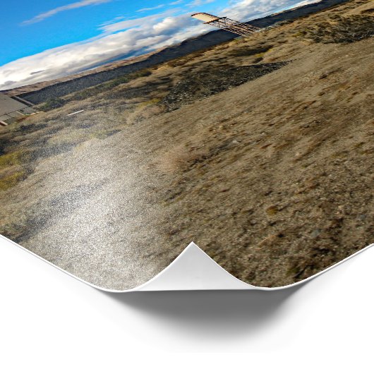 Joshua Tree Foto Afdruk (Hoek)