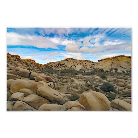 Joshua Tree Foto Afdruk (Voorkant)