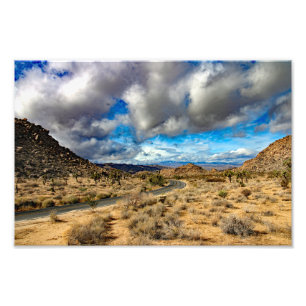 Joshua Tree Foto Afdruk