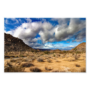 Joshua Tree Foto Afdruk
