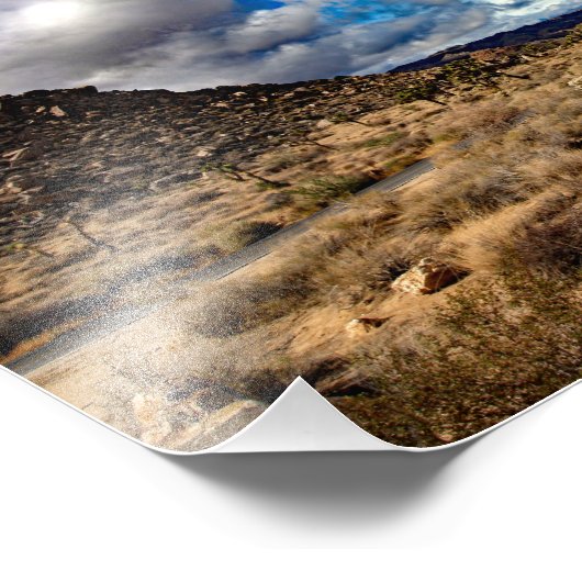 Joshua Tree Foto Afdruk (Hoek)