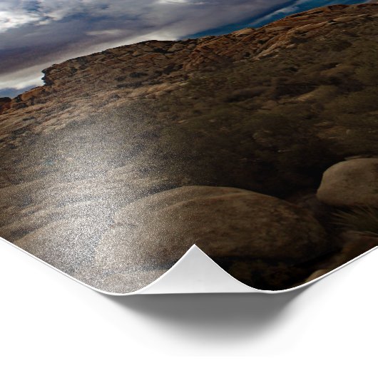 Joshua Tree Foto Afdruk (Hoek)