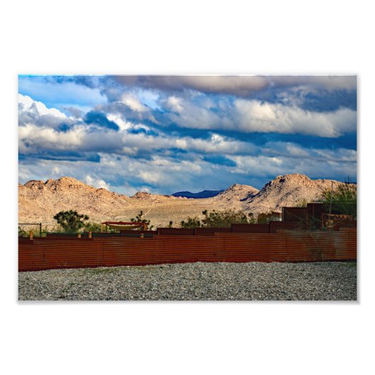 Joshua Tree Foto Afdruk (Voorkant)