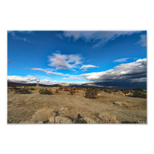 Joshua Tree Foto Afdruk