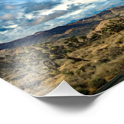 Joshua Tree Foto Afdruk (Hoek)