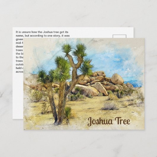 Joshua Tree Fun Fact Briefkaart (Voorkant / Achterkant)