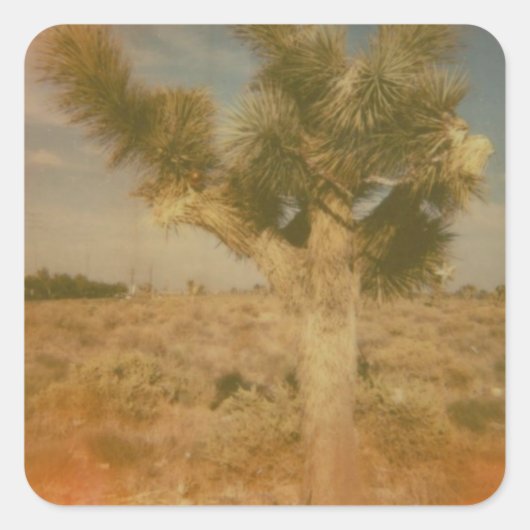 Joshua Tree gedecoreerd Vierkante Sticker (Voorkant)