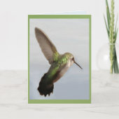 Joshua Tree Hummingbird =Blank binnen Kaart (Voorkant)
