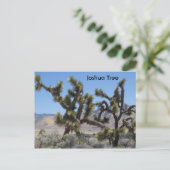 Joshua Tree in Californië Briefkaart (Staand voorkant)
