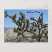 Joshua Tree in Californië Briefkaart (Voorkant)