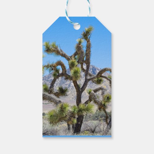 Joshua Tree in Californië Cadeaulabel (Achterkant)