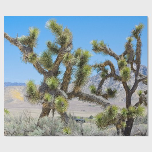 Joshua Tree in Californië Cadeaupapier (Vlak)