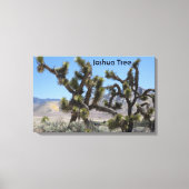 Joshua Tree in Californië Canvas Afdruk (Voorkant)