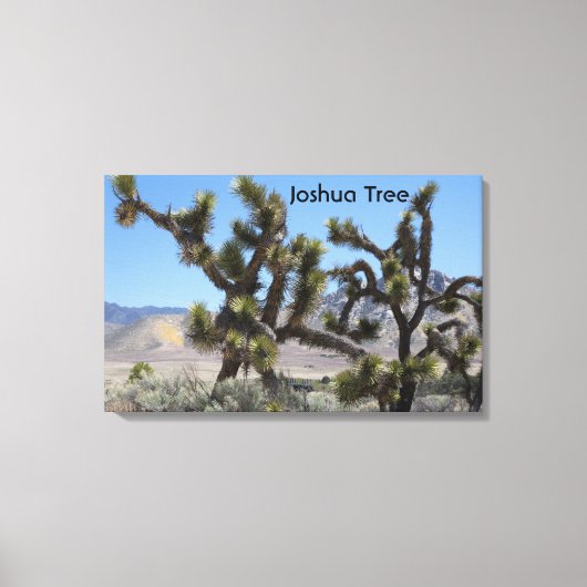 Joshua Tree in Californië Canvas Afdruk (Voorkant)