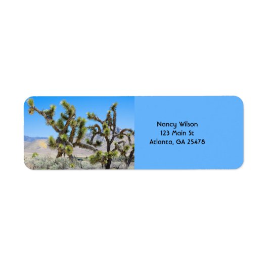 Joshua Tree in Californië Etiket (Voorkant)