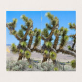 Joshua Tree in Californië Kaart (Buitenkant ongevouwen)