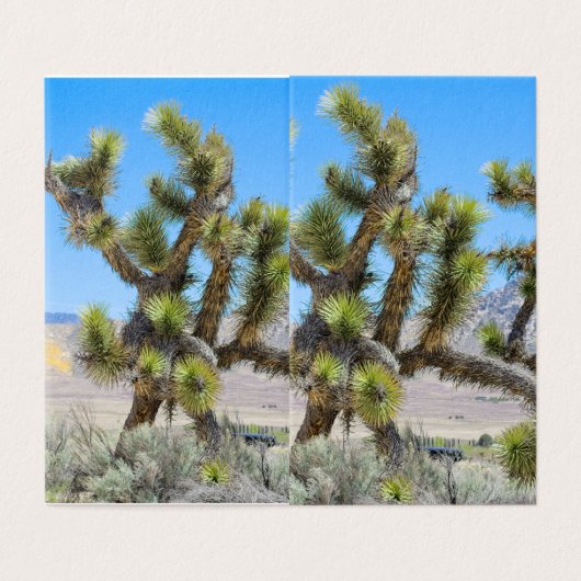 Joshua Tree in Californië Kaart (Buitenkant ongevouwen)