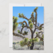 Joshua Tree in Californië Kaart (Voorkant)
