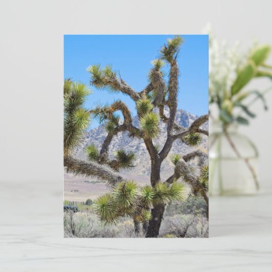 Joshua Tree in Californië Kaart (Staand voorkant)