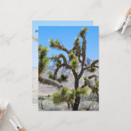 Joshua Tree in Californië Kaart