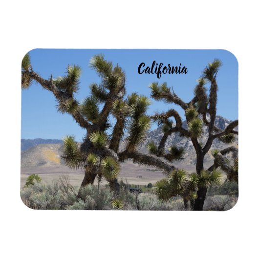 Joshua Tree in Californië Magneet (Horizontaal)