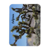 Joshua Tree in Californië Magneet (Verticaal)