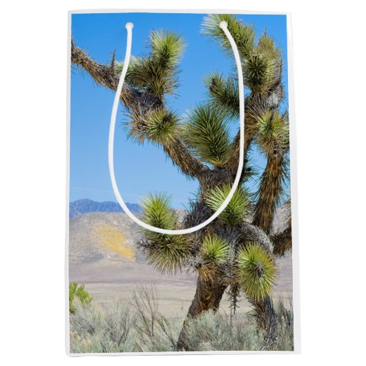 Joshua Tree in Californië Medium Cadeauzakje (Voorkant)