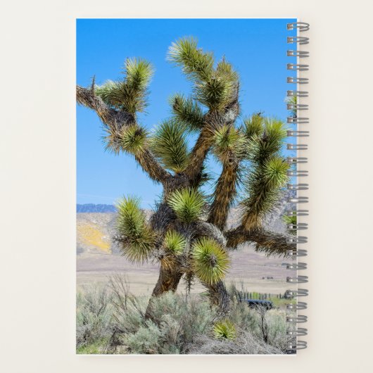 Joshua Tree in Californië Notitieboek (Achterkant)