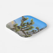 Joshua Tree in Californië Papieren Bordje (Gebogen)