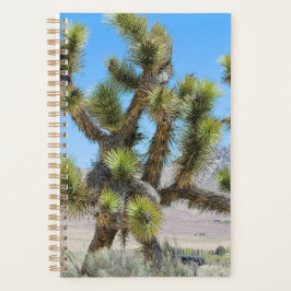 Joshua Tree in Californië Planner
