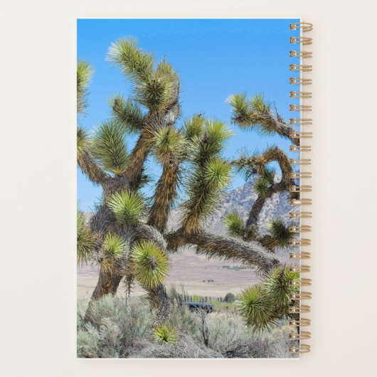 Joshua Tree in Californië Planner (Achterkant)