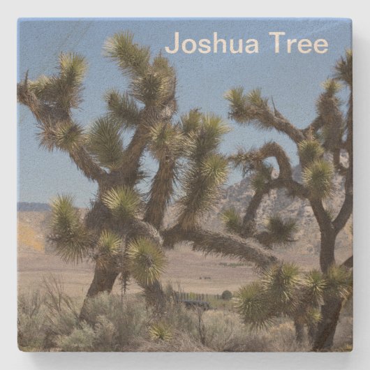 Joshua Tree in Californië Stenen Onderzetter (Voorkant)