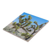Joshua Tree in Californië Tegeltje (Zijkant)