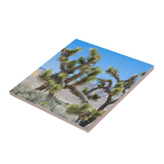Joshua Tree in Californië Tegeltje (Zijkant)