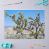 Joshua Tree in Californië Tissuepapier (Craft)