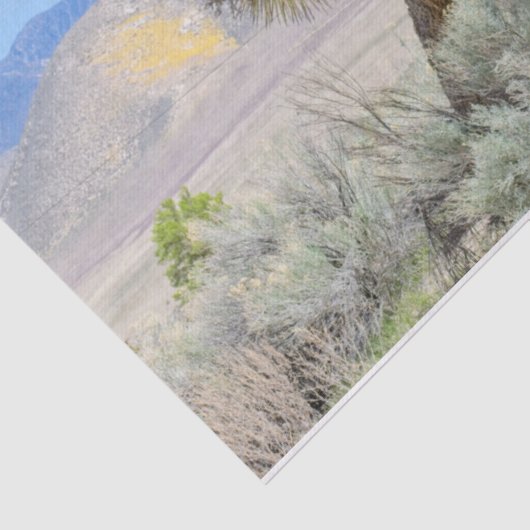 Joshua Tree in Californië Tissuepapier (Detail)