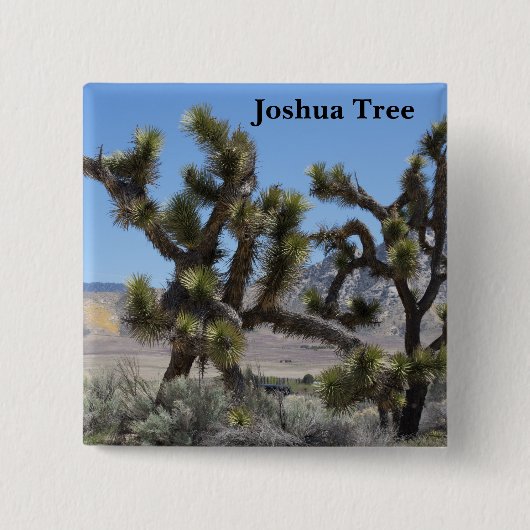 Joshua Tree in Californië Vierkante Button 5,1 Cm (Voorkant)