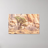 Joshua Tree in de woestijn Canvas Afdruk (Voorkant)