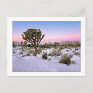 Joshua Tree in Snow beroemd gemaakt door Jozua Tre Briefkaart