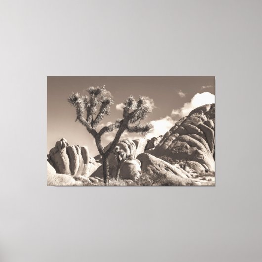 Joshua Tree Landschap Sepia Tone Canvas Afdruk (Voorkant)