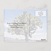 Joshua Tree - Nationaal Park Joshua Tree Briefkaart (Achterkant)