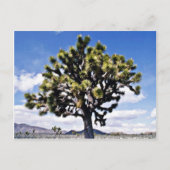 Joshua Tree - Nationaal Park Joshua Tree Briefkaart (Voorkant)
